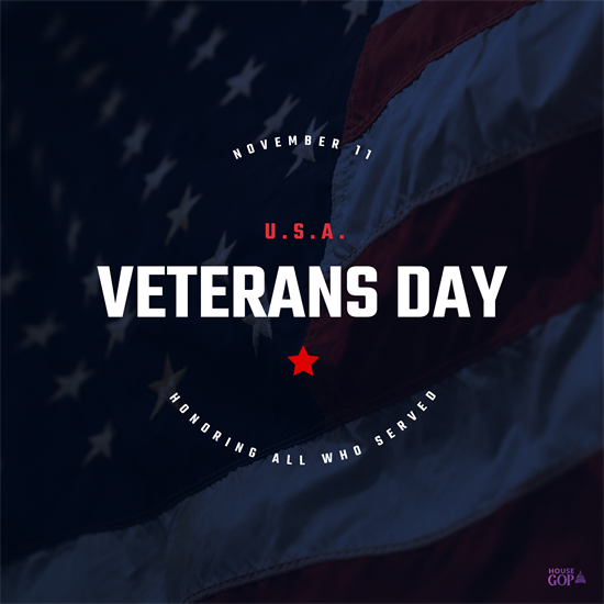 Veterans Day Graphic